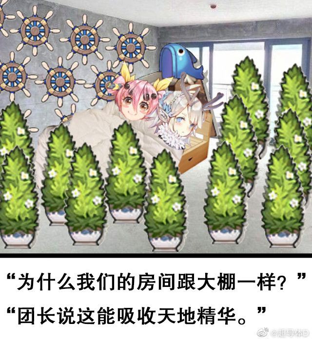 草🌿截图