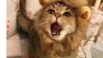 新魂珠升级路线推荐(个人见解)