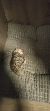 中奖名单出来啦！！！