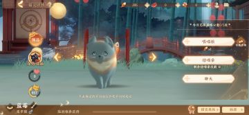 【首届忘川猫咪评选大赛】