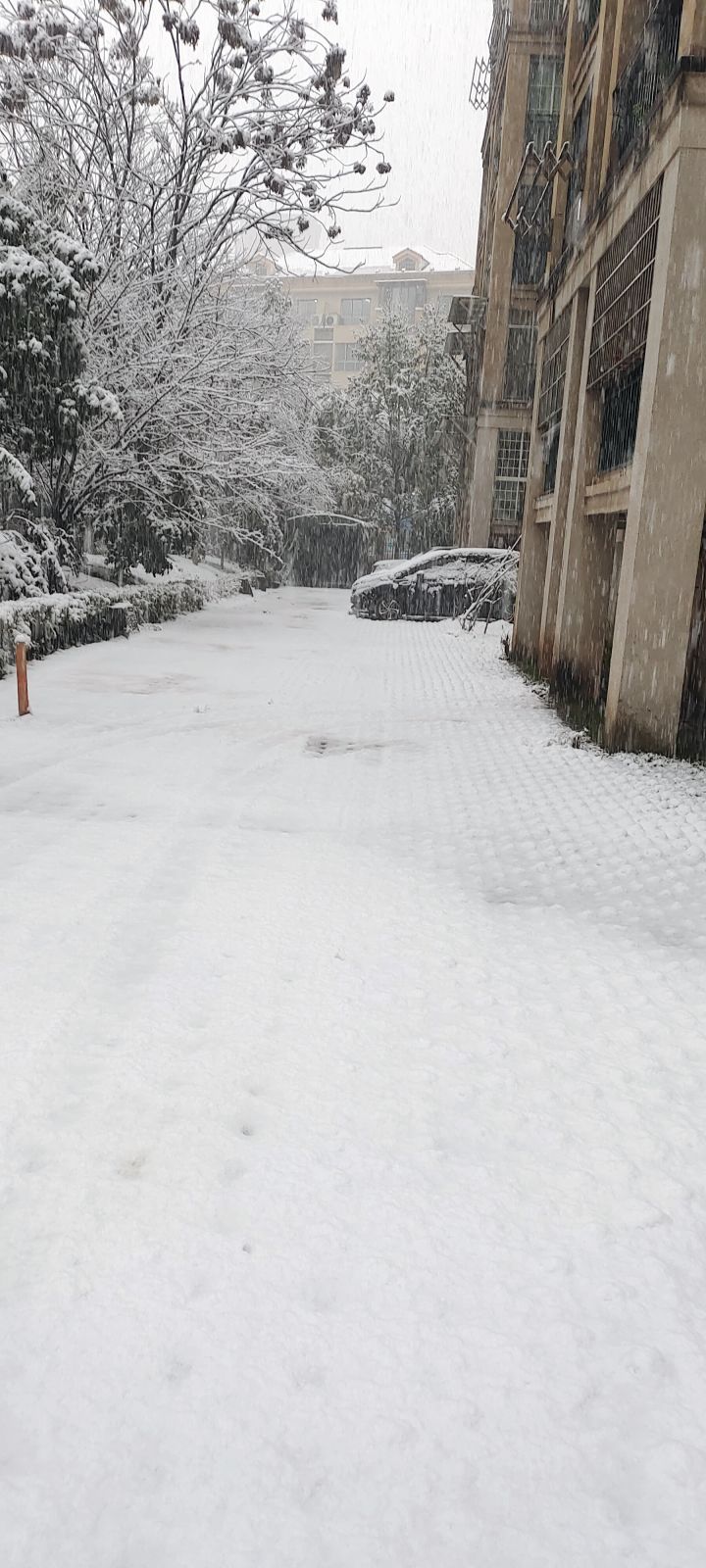 又下雪了截图