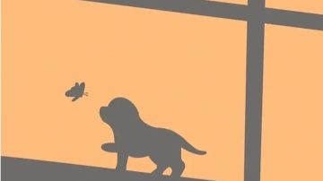 开完图八的碎碎念