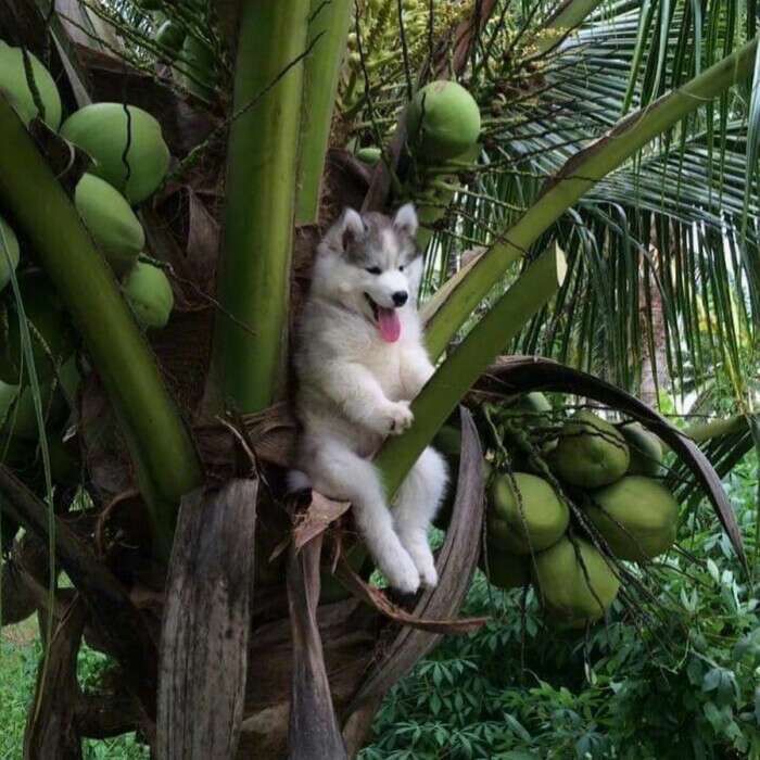 等的我都烦了截图