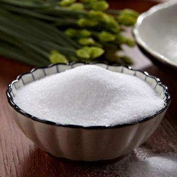 盐的露脸及真名