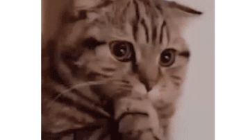 中枢&夕阳沙漠—部分任务坐标攻略