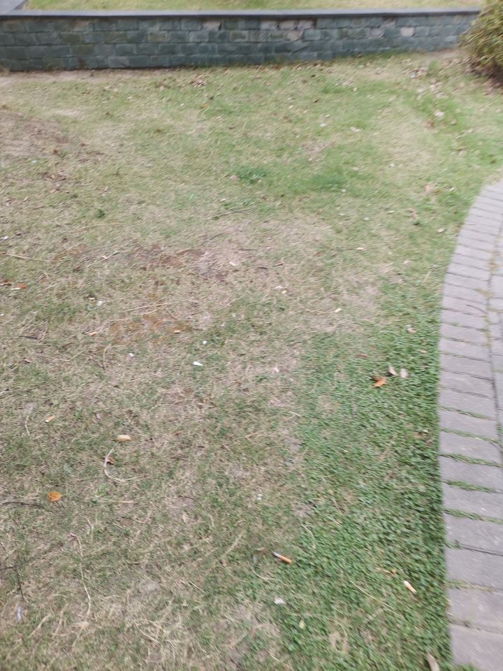 每天准时打卡!截图