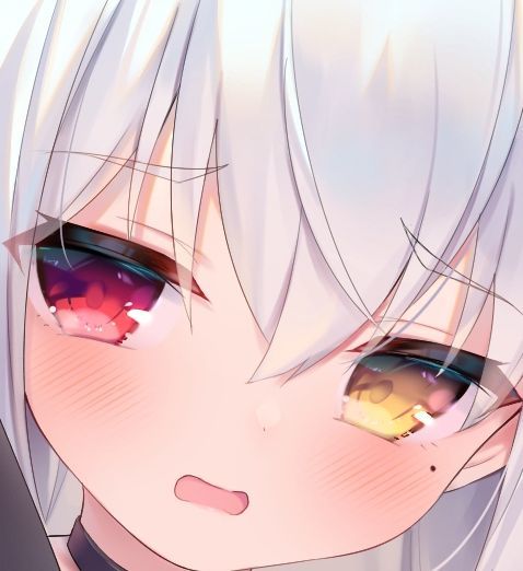 退游半年回游有感截图