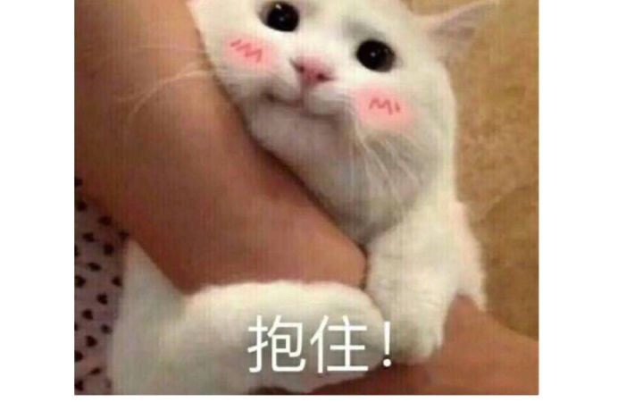 整自闭了、差一点打不死、问题出在哪里呀！😭😭截图