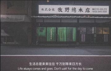 一分钟了解阿比盖尔的花