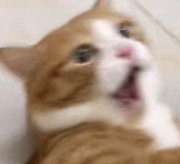 重新进行一个开荒帖