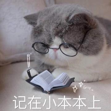 猫咪有哪些让人“头疼”的坏习惯？来看看你家猫有没有！