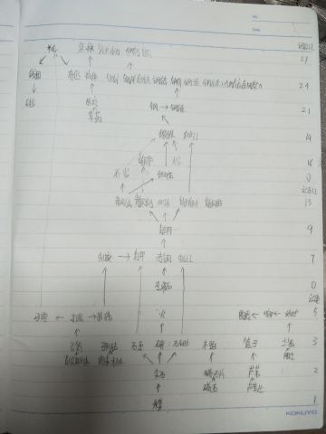 全球网游:华夏人生OL 第二章