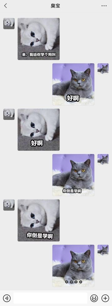 【表情包专栏】猫咪不干老本行，居然学起了狗叫？