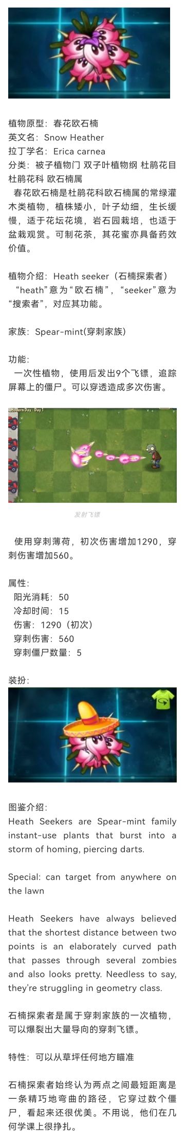 【植物图鉴】石楠探索者