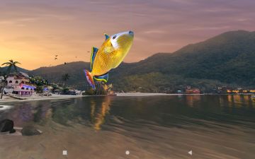 红尾炮弹鱼百科