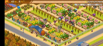 简明易懂新手攻略～（竞赛选择、布局）