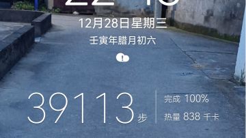 6哥布林把始祖替换掉半人马打擂台和单队竞技场