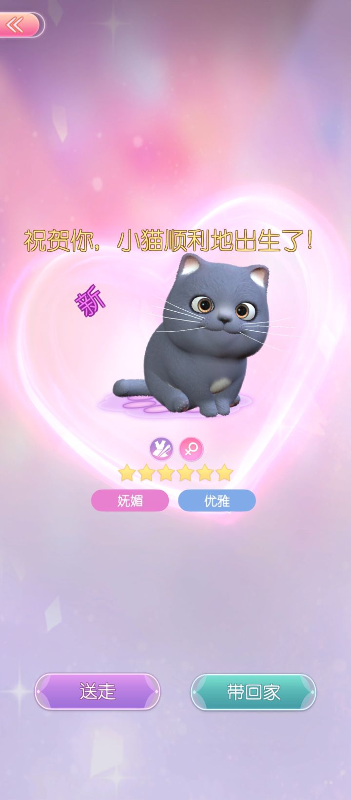 纪念第一只六星猫咪截图