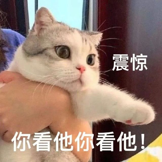 狩猎屠德打要塞视觉盛宴 3截图