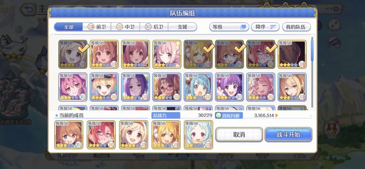 萌新求阵容截图