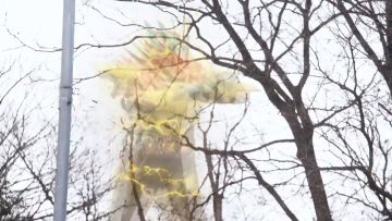 动作指导:闪耀蝗虫(。・`ω´・)