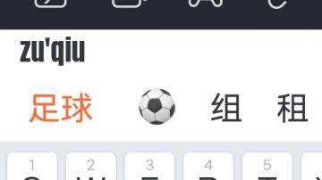 【SS7攻略】 新手一定要看的足球小知识