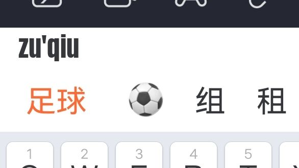 【SS7攻略】 新手一定要看的足球小知识截图