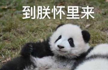 文明重启高级物质攻略介绍