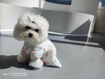 【公告】炸服了。【完结】