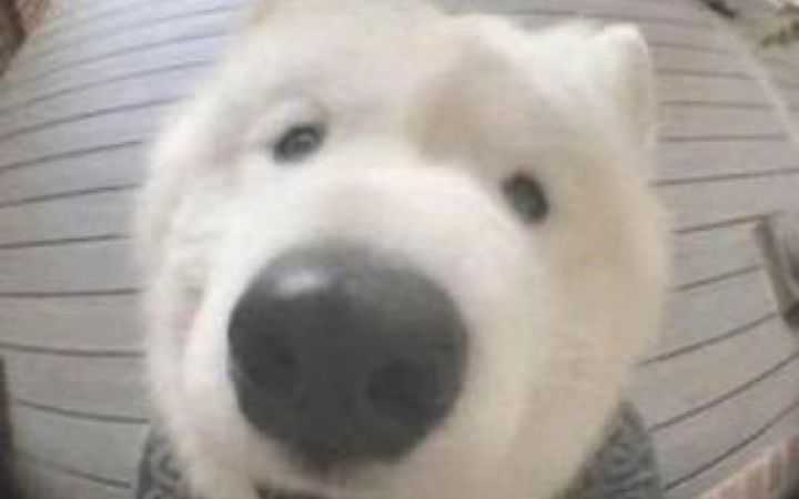 生日蛋糕居然能加攻击范围截图