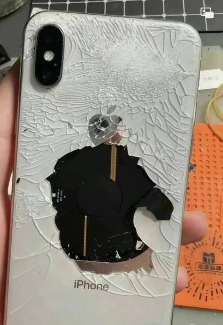 有嘲讽技能的鱼吗截图