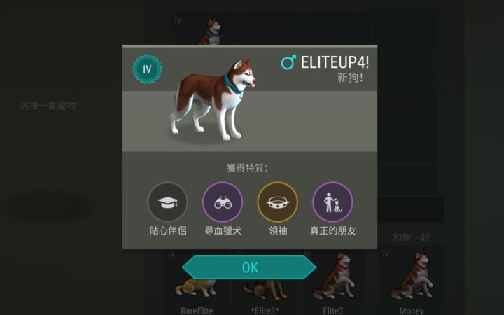 毛子從未让我失望截图