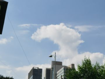 小离的山（以及不怎么会拍照的小离）