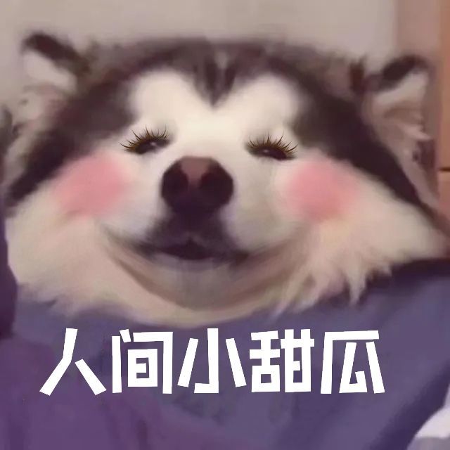 来自一位少女的推荐截图
