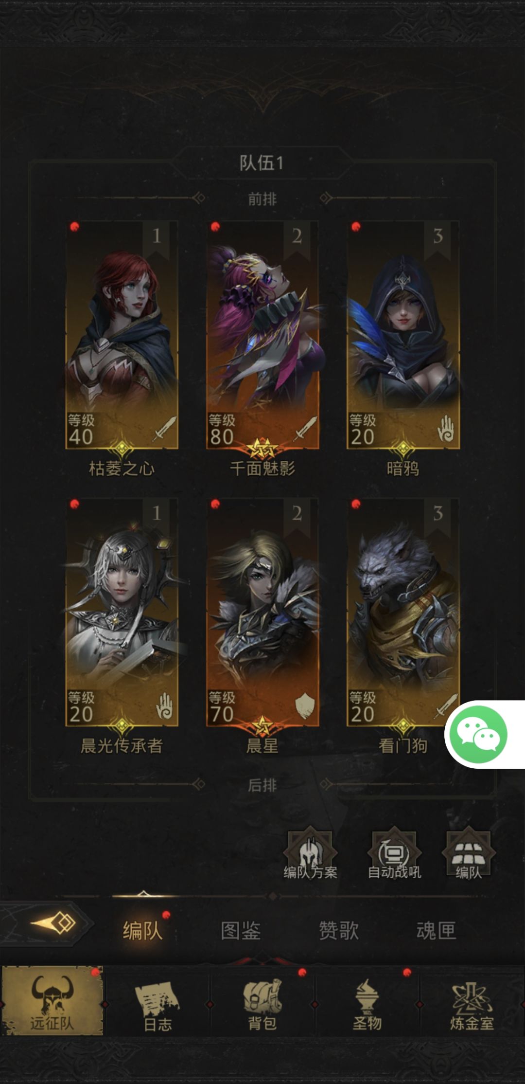 萌新请教，如何组队如何培养如何转型？截图