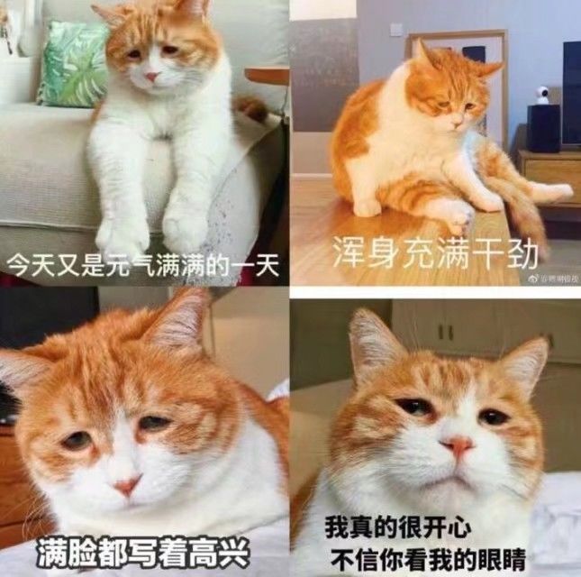 这游戏人真少啊..截图