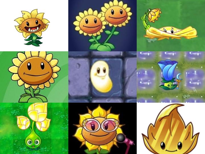 【填词/奇迹再现】阳光植物截图