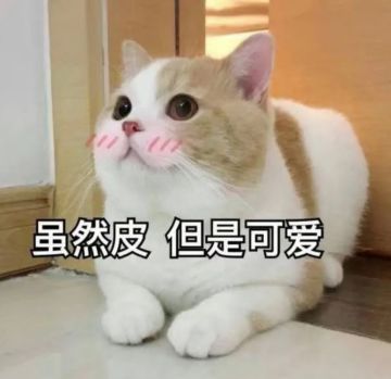 【整合】废喵各类贴的直通车～