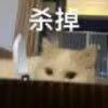 【真·专武】修杰特第三战