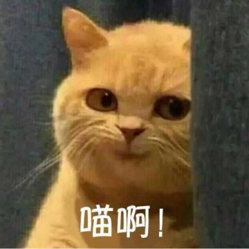 PUBG：NEW STATE体验