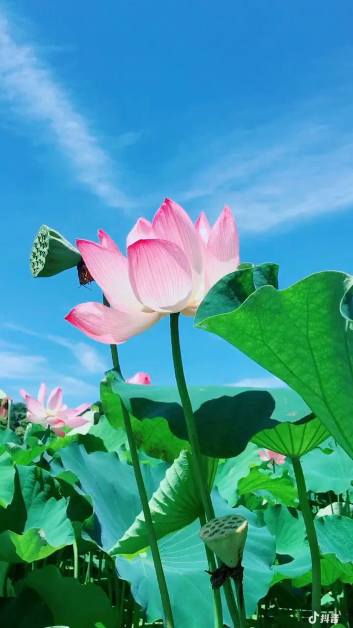 终于倒计时了,聚散皆是缘~离合总关情截图