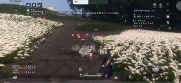 天地道亲测问题整理如下