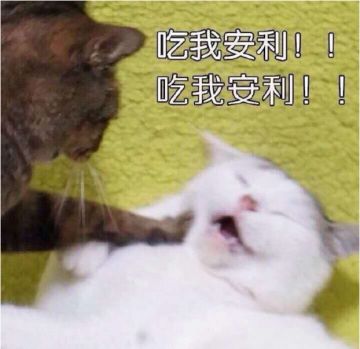 #狼人夜话#你平时最喜欢与他人分享什么？