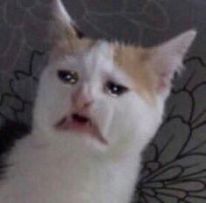 多娃as专武二战