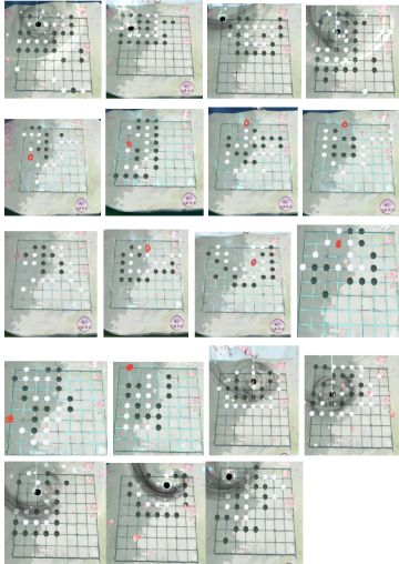 【攻略】棋局抽卡合集（黑棋、白棋）
