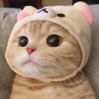 奥义流拔刀之庖丁解牛