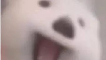 甜梦の没什么用的菜谱分享