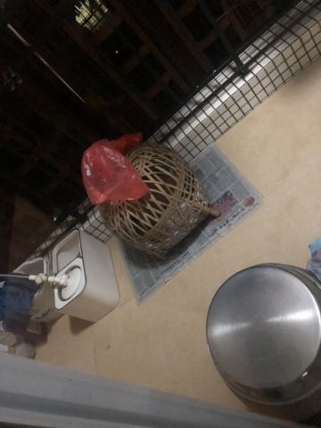 康帕斯准备复活的第三百零九天