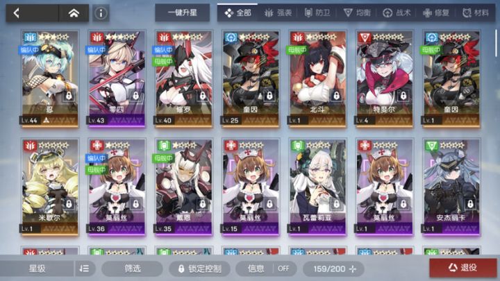求大佬推个阵容跟装备搭配截图