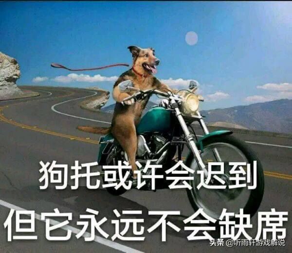 狗托天天有，周一特别多截图